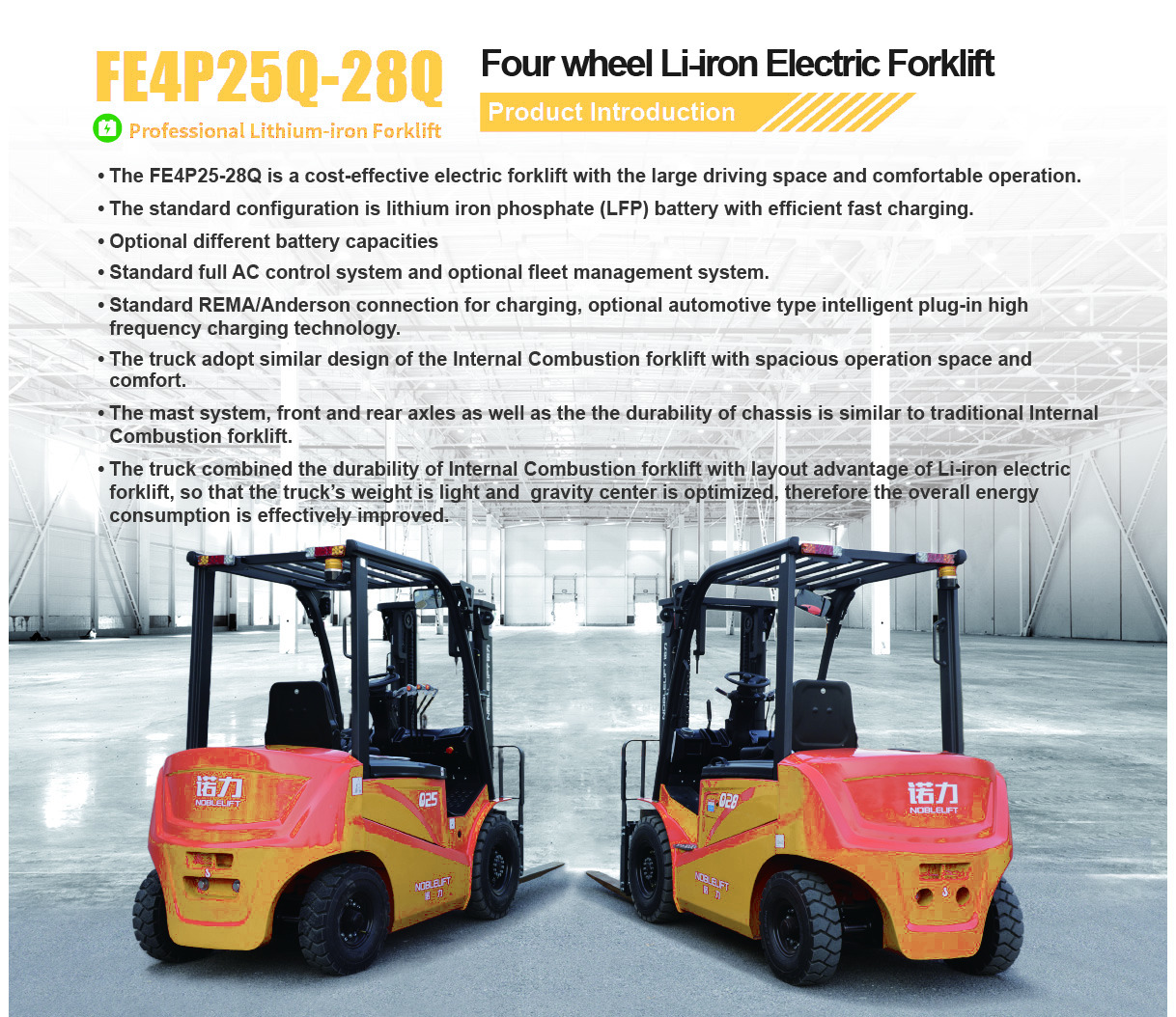 FE4P25/28Q