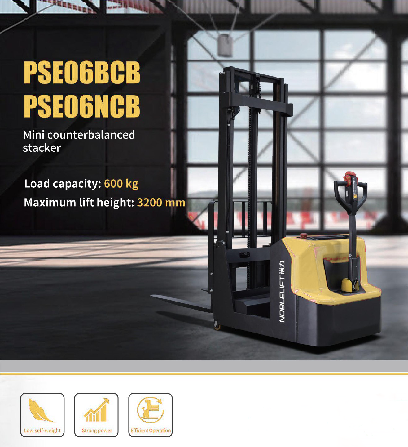 PSE06BCB/NCB